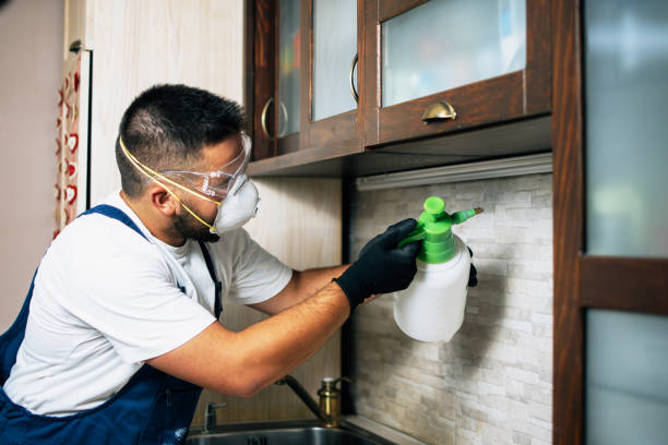 Best Cockroach Control Services  in Calverton, NY