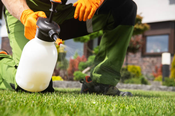 Best Residential Pest Control  in Calverton, NY