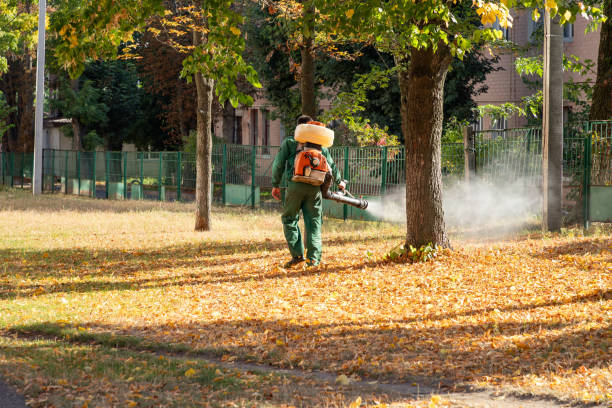 Best Local Pest Control Services  in Calverton, NY