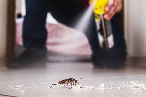 Best Commercial Pest Control Services  in Calverton, NY