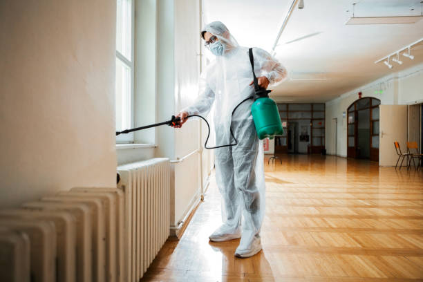 Reliable Calverton, NY Pest Control Solutions